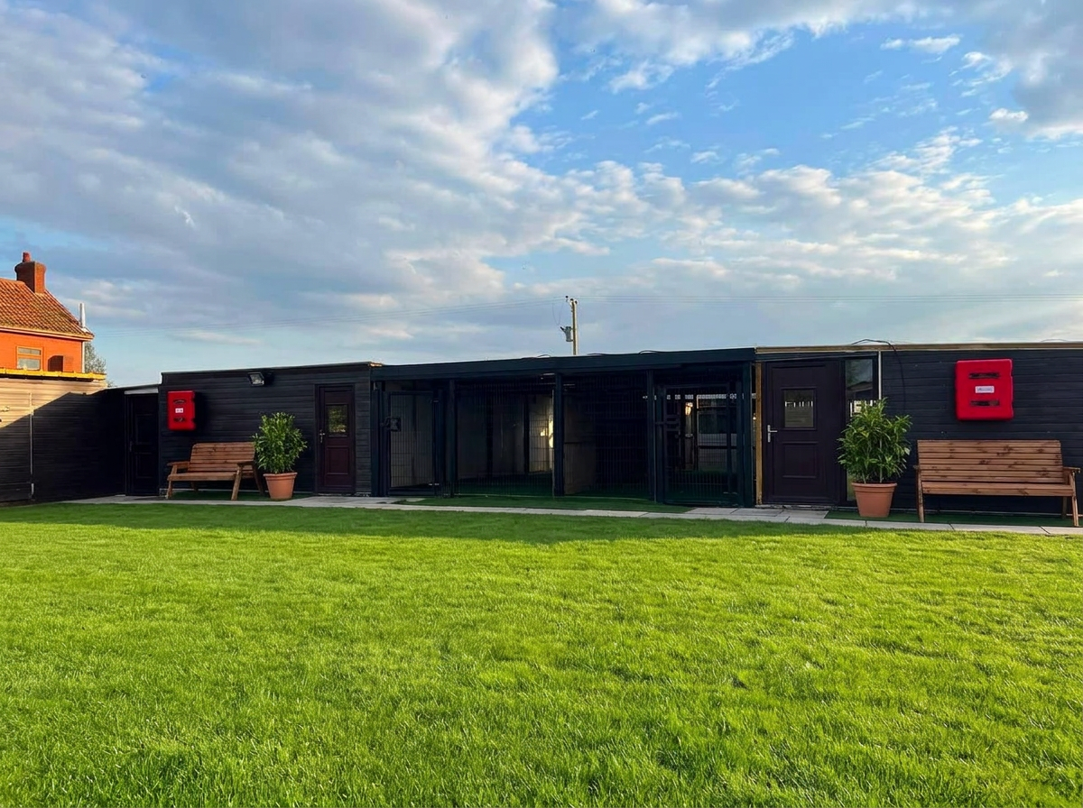 Our purpose-built kennel block with private outdoor runs